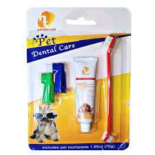 پک مسواک و خمیردندانyzhtbrush