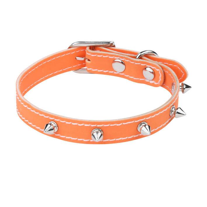 قلاده گردنی سایز 2 گارددار نیناپت