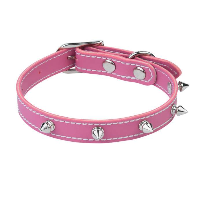 قلاده گردنی سایز 2 گارددار نیناپت