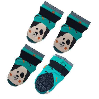 پاپوش وکفش سگ تادو