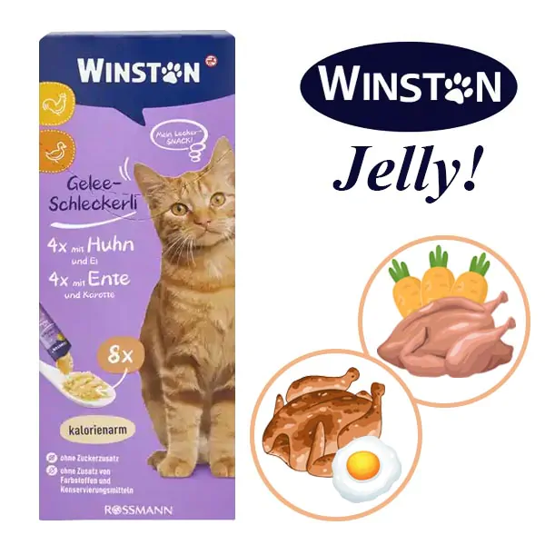 بستنی گربه وینستون با طعم مرغ و تخم مرغ