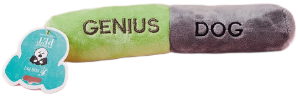 اسباب بازی استوانه ای سوت دار برای سگ