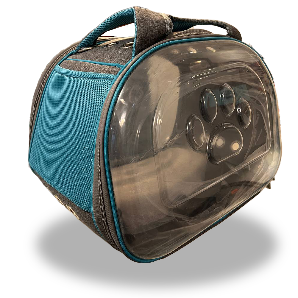 کیف دوطرفه شفاف مدل Bright دنیل