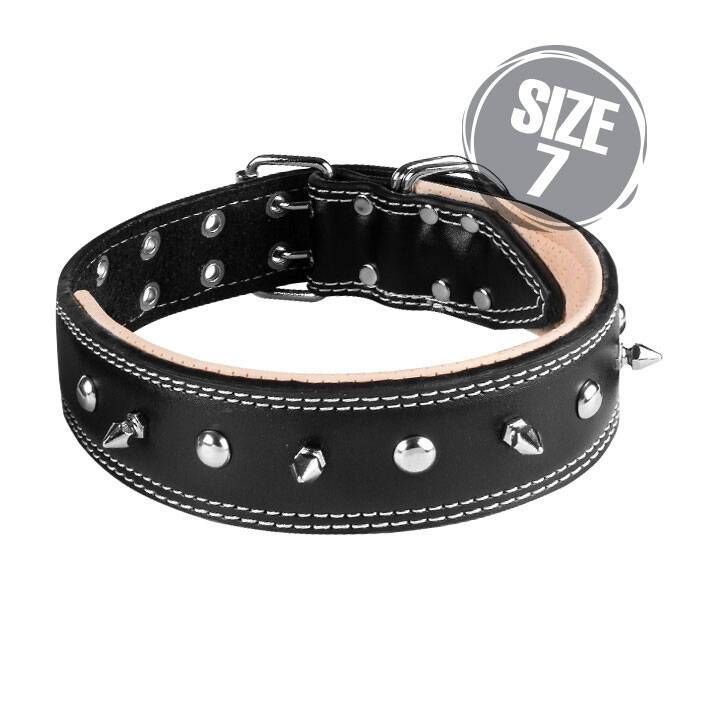 قلاده گردنی پرچ و گارد VIP