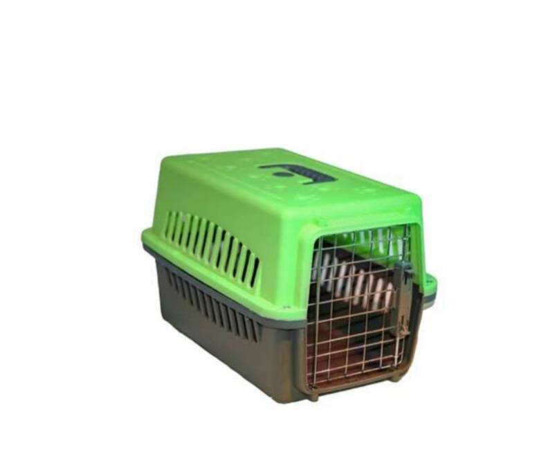 باکس حمل هاچیکو