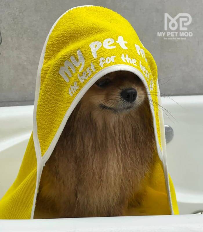 حوله سگ و گربه  my pet mod