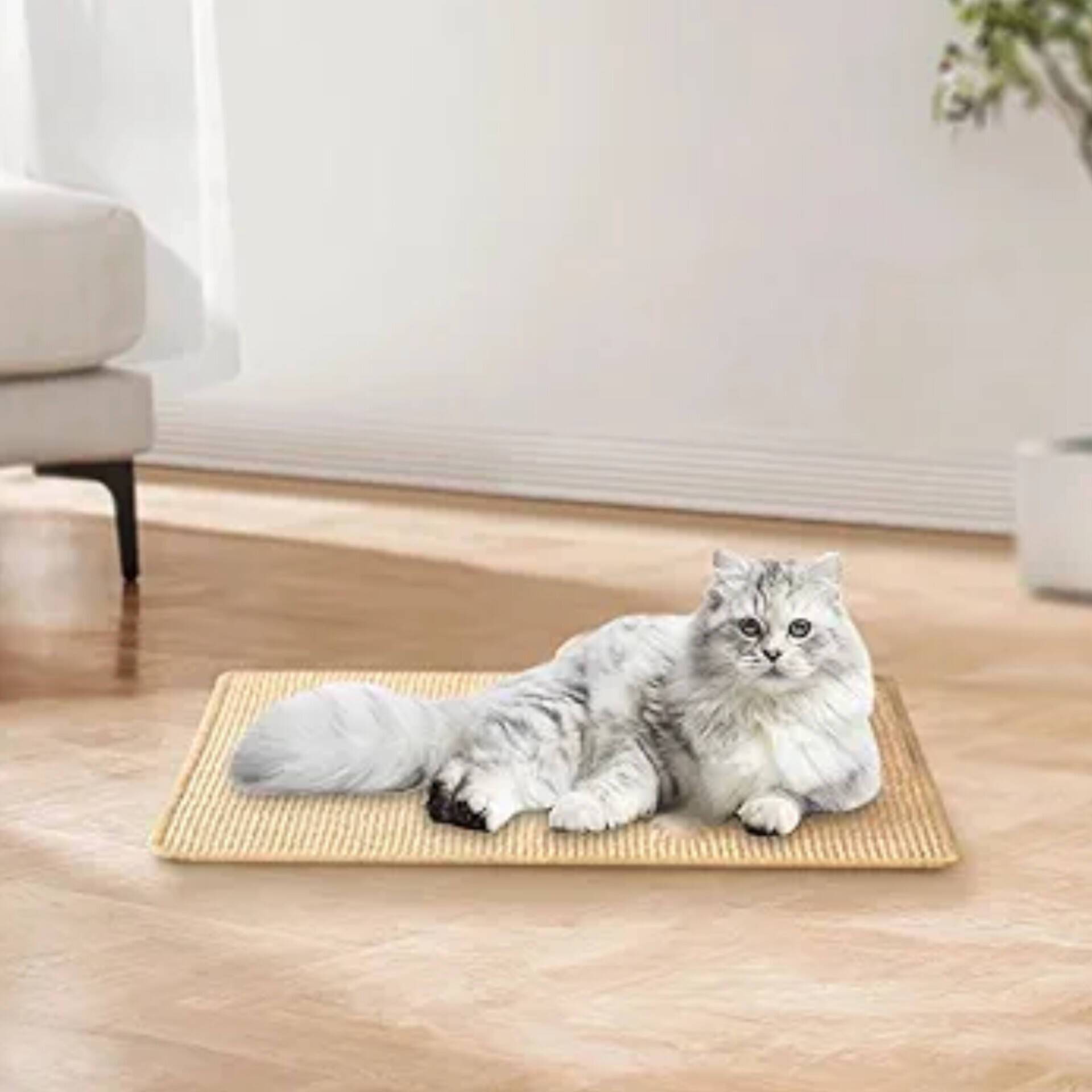 اسکرچر  فرشی گربه