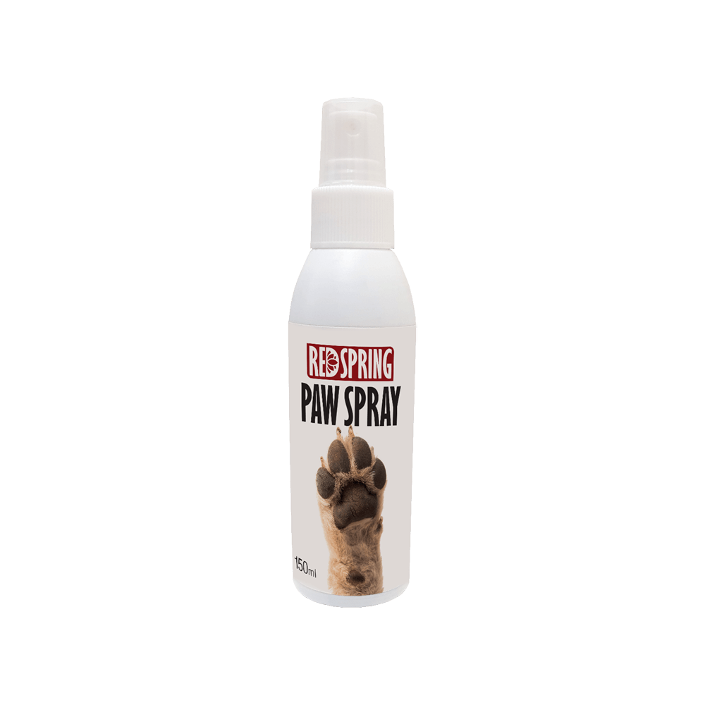 محلول ضدعفونی کننده پنچه رد اسپرینگ