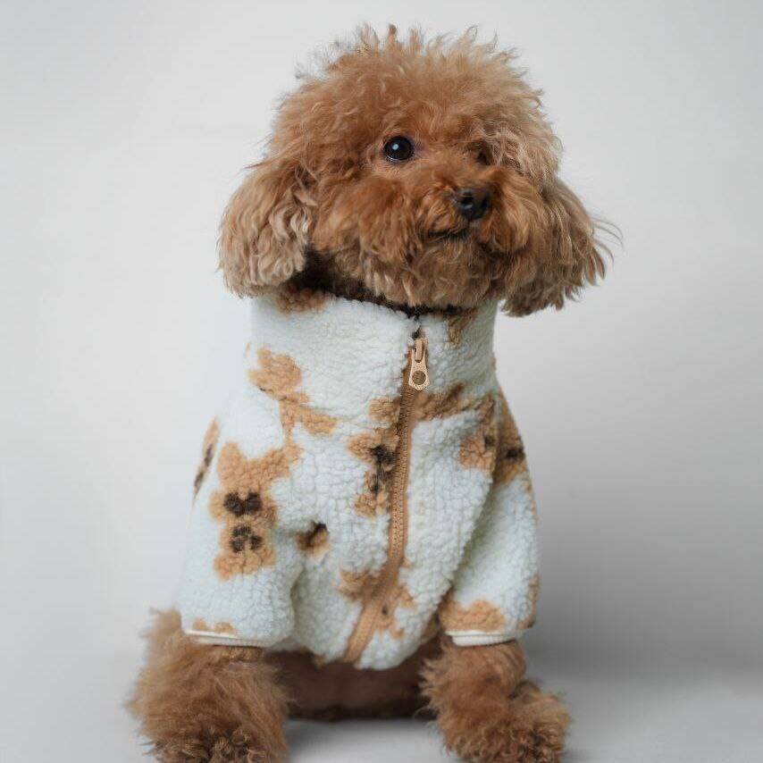 لباس تدی عروسکی MP