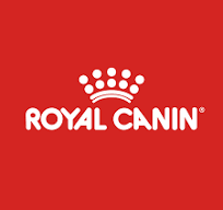 غذای خشک رویال کنین  یک کیلیویی