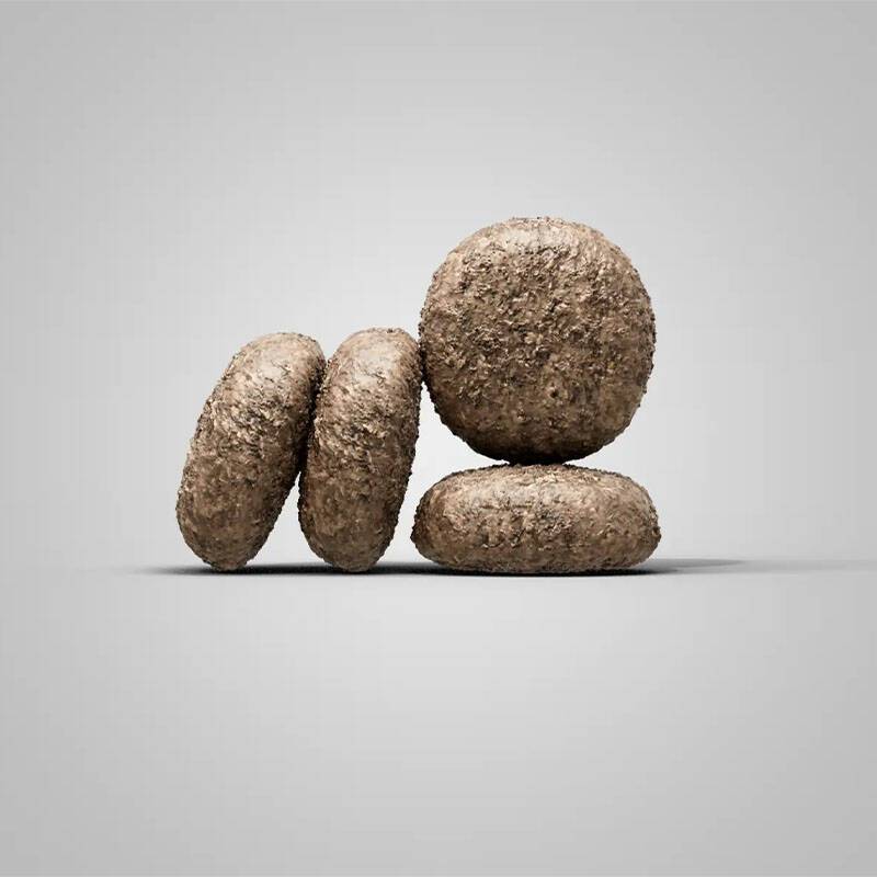 غذای سگ مینی ادالت با طعم گوشت بره برند جوسرا