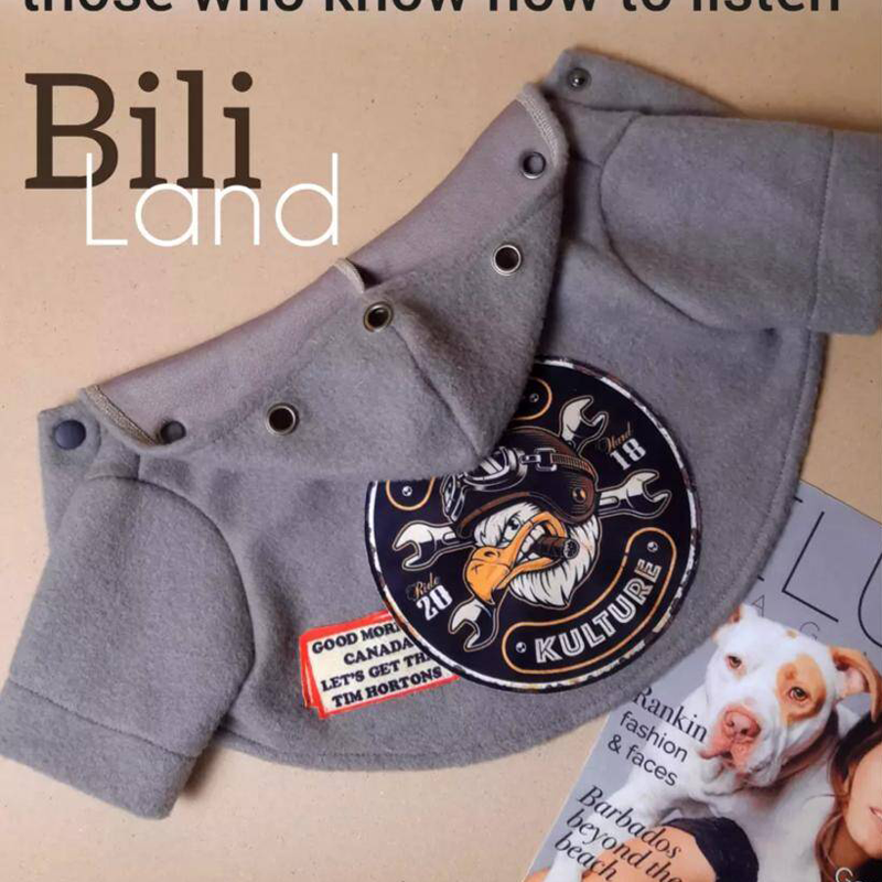 سویشرت طرح عقاب