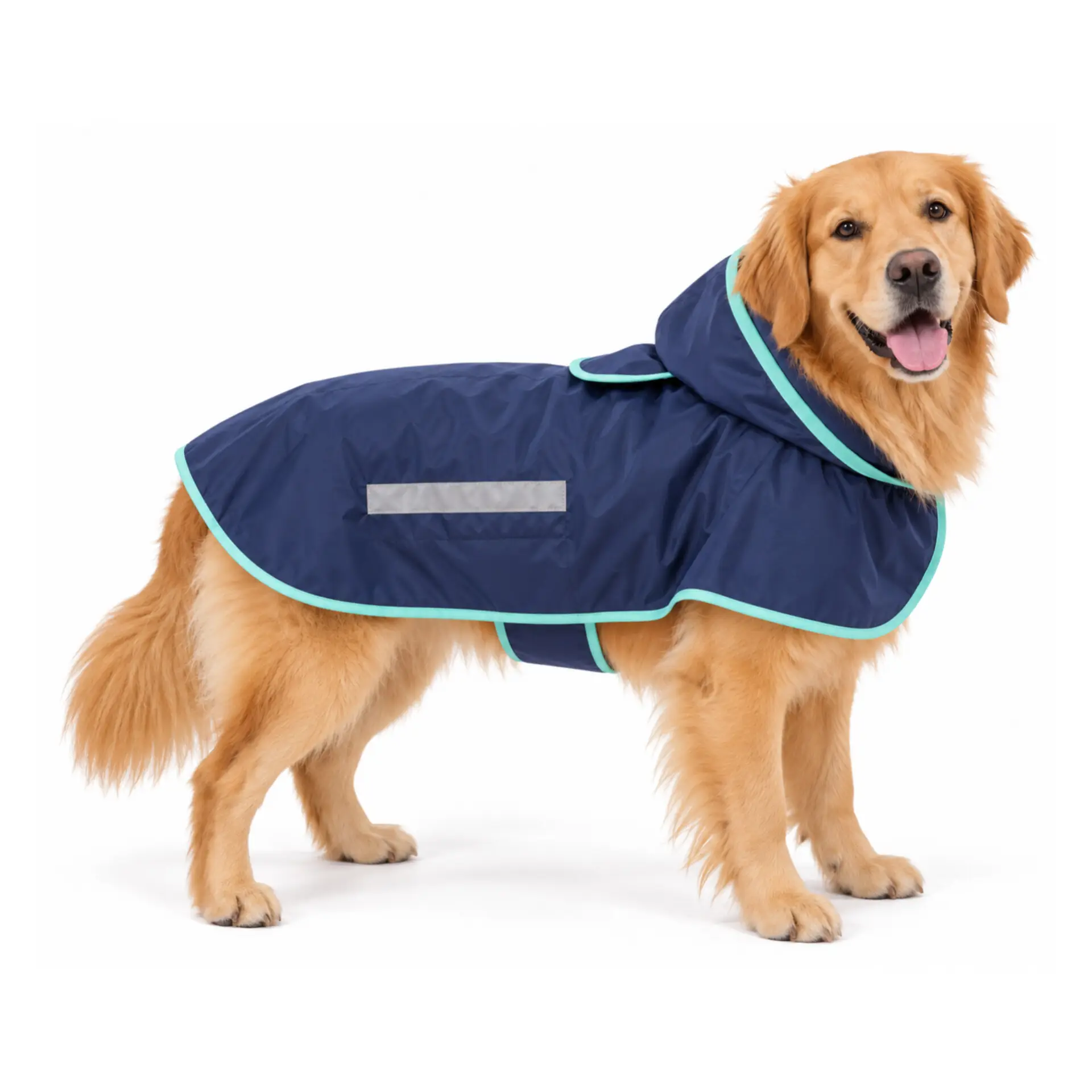 لباس بارانی raincoat مریلند پت