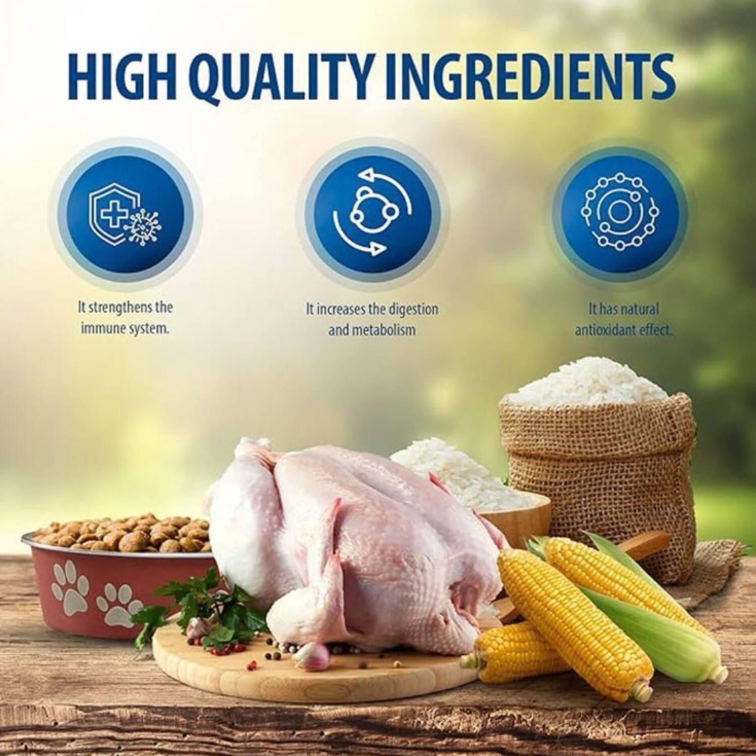 غذا خشک گربه رفلکس پلاس یورینری