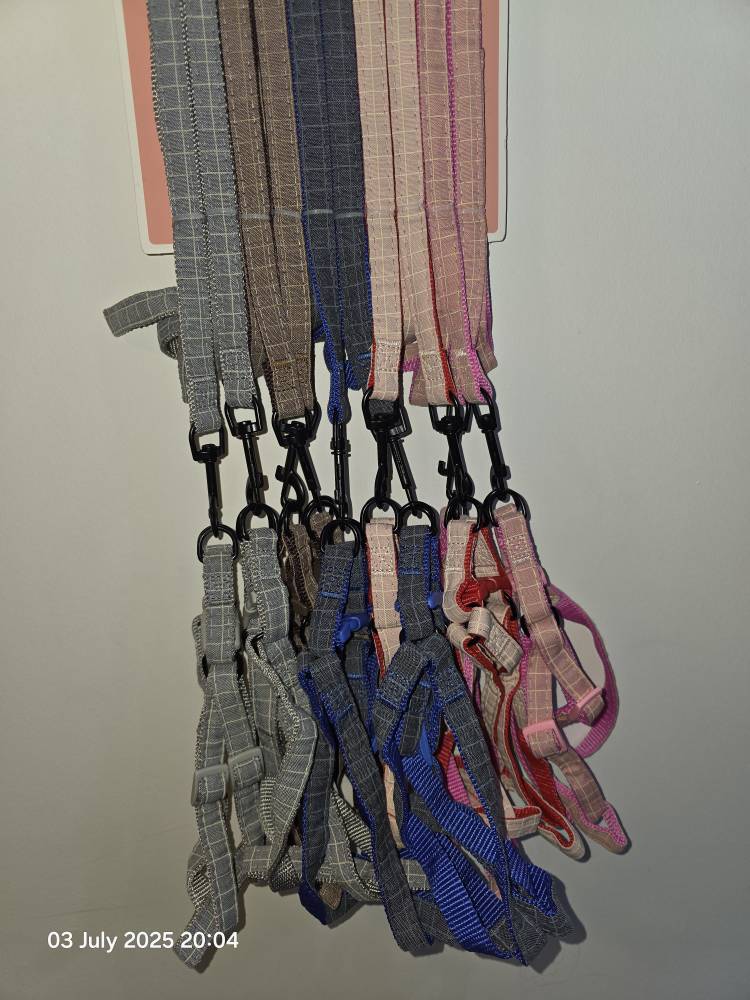 قلاده کمری به همراه لید