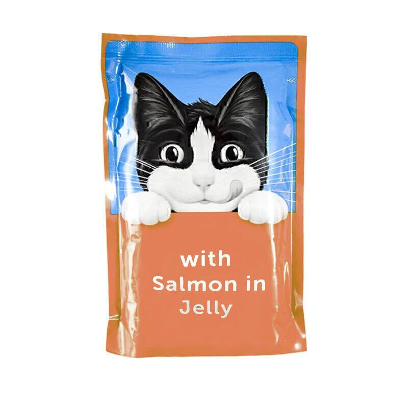 پوچ گربه بالغ فلیکس با طعم ماهی سالمون در ژله