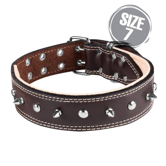 قلاده گردنی پرچ و گارد VIP