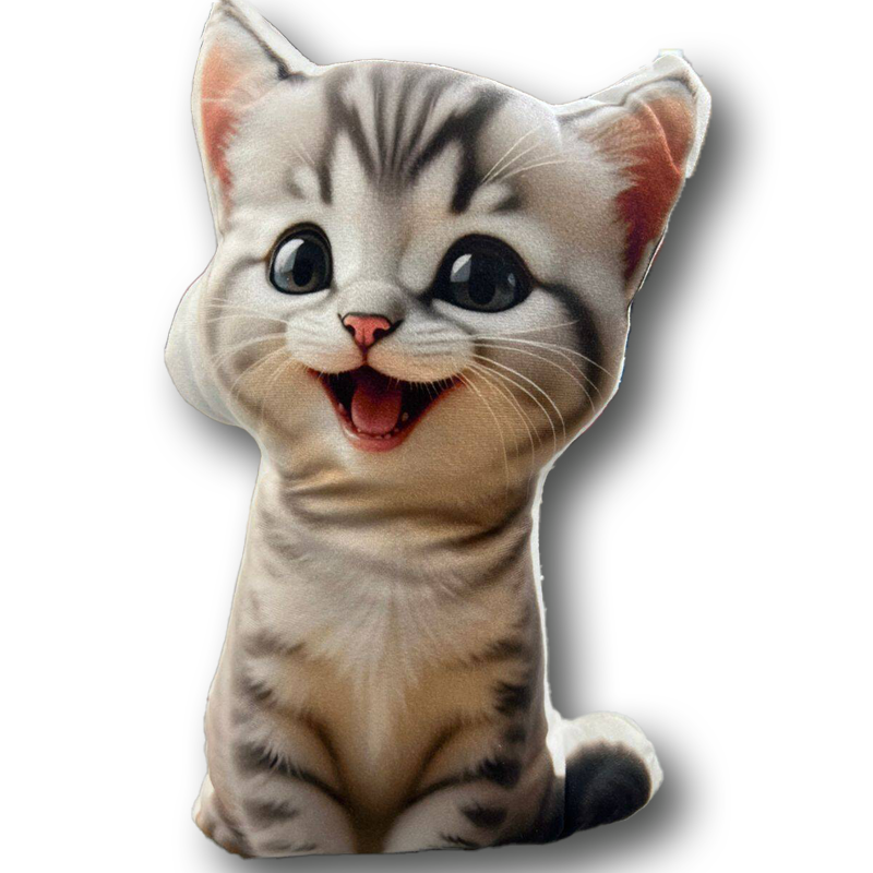 کوسن طرح پت