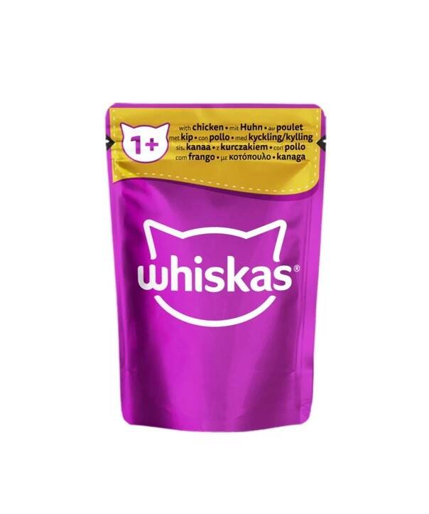 پوچ ویسکاس گربه بالغ