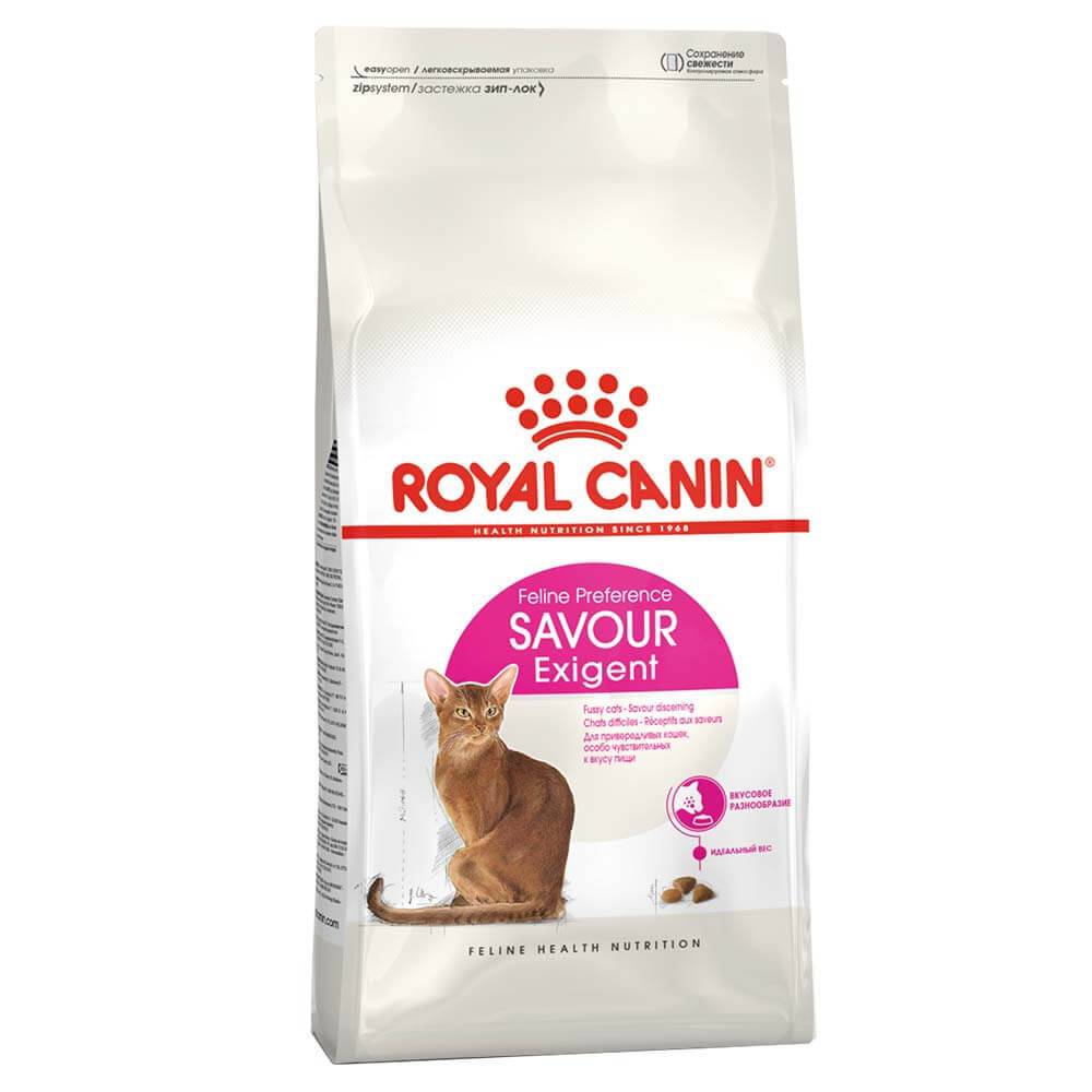 غذا خشک گربه رویال اگزیجنت ( مخصوص گربه های بد غذا)