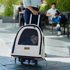 کوله پشتی ترولی برند  پتیوو