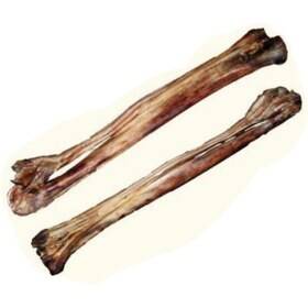 تشویقی سگ قلم شتر مرغ ماتیار