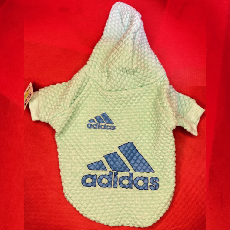 هودی آدیداس