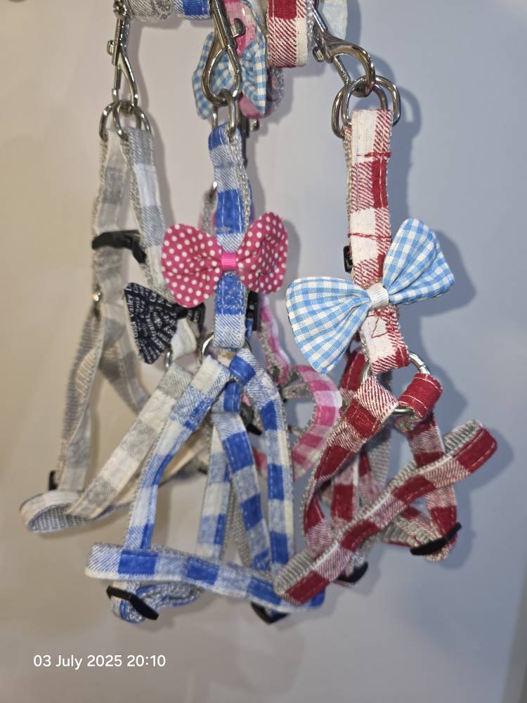 قلاده کمری پاپیون دار به همراه لید