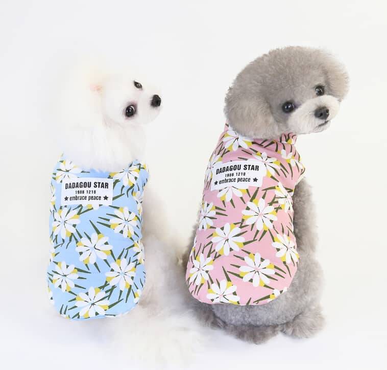 کاپشن DADAGOU ژربرا مدل AD-K2