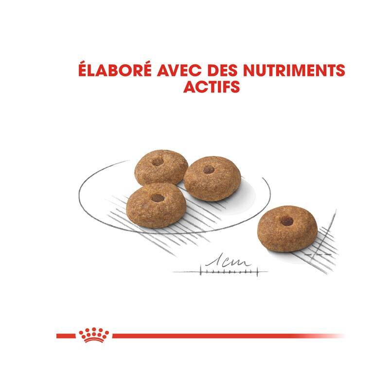 غذا خشک سگ رویال عقیم شده نژاد کوچک