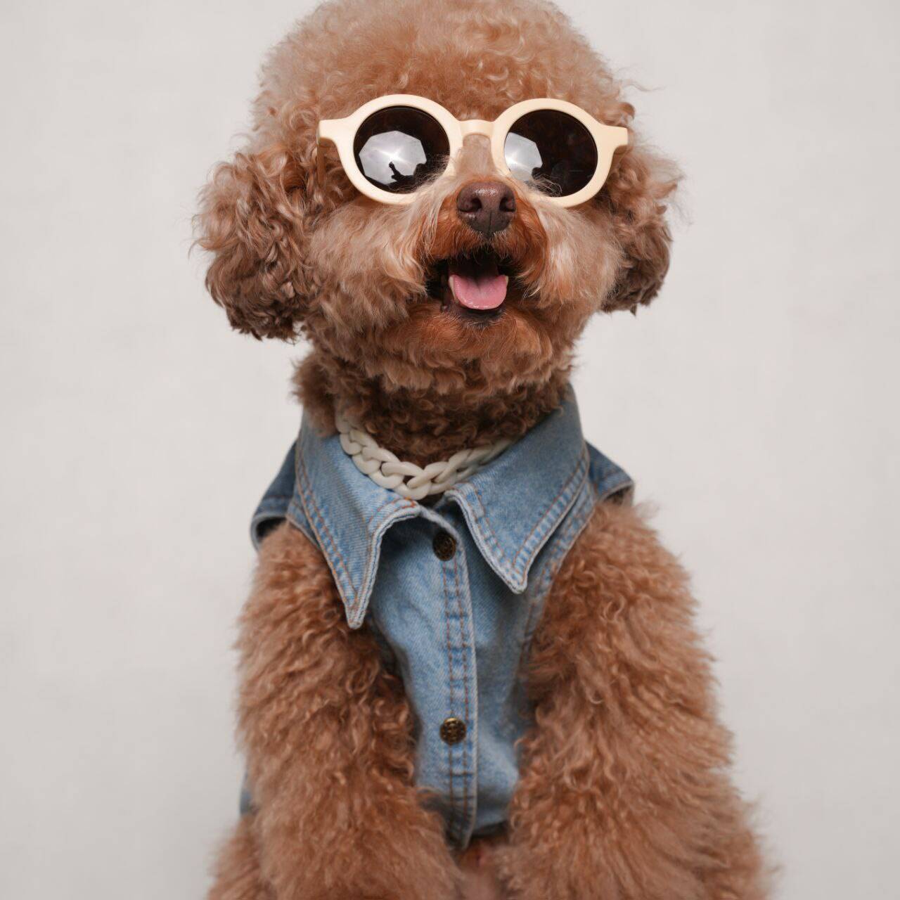 وست جین برند مای پت مد