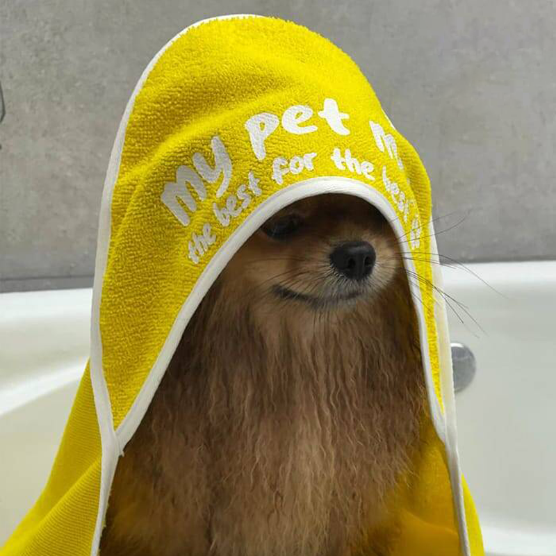 حوله پت برند مای پت مد