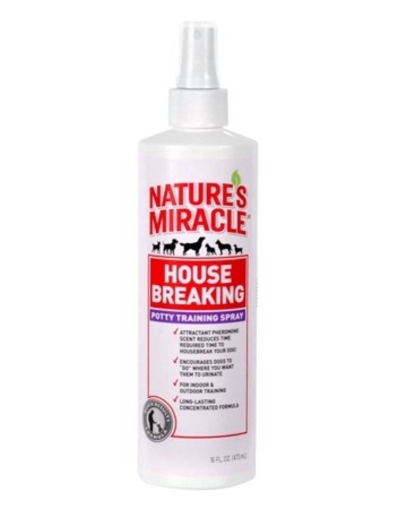 اسپری تعلیم دستشویی