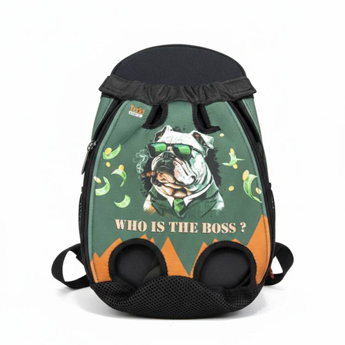 آغوشی سگ و گربه برند تادو