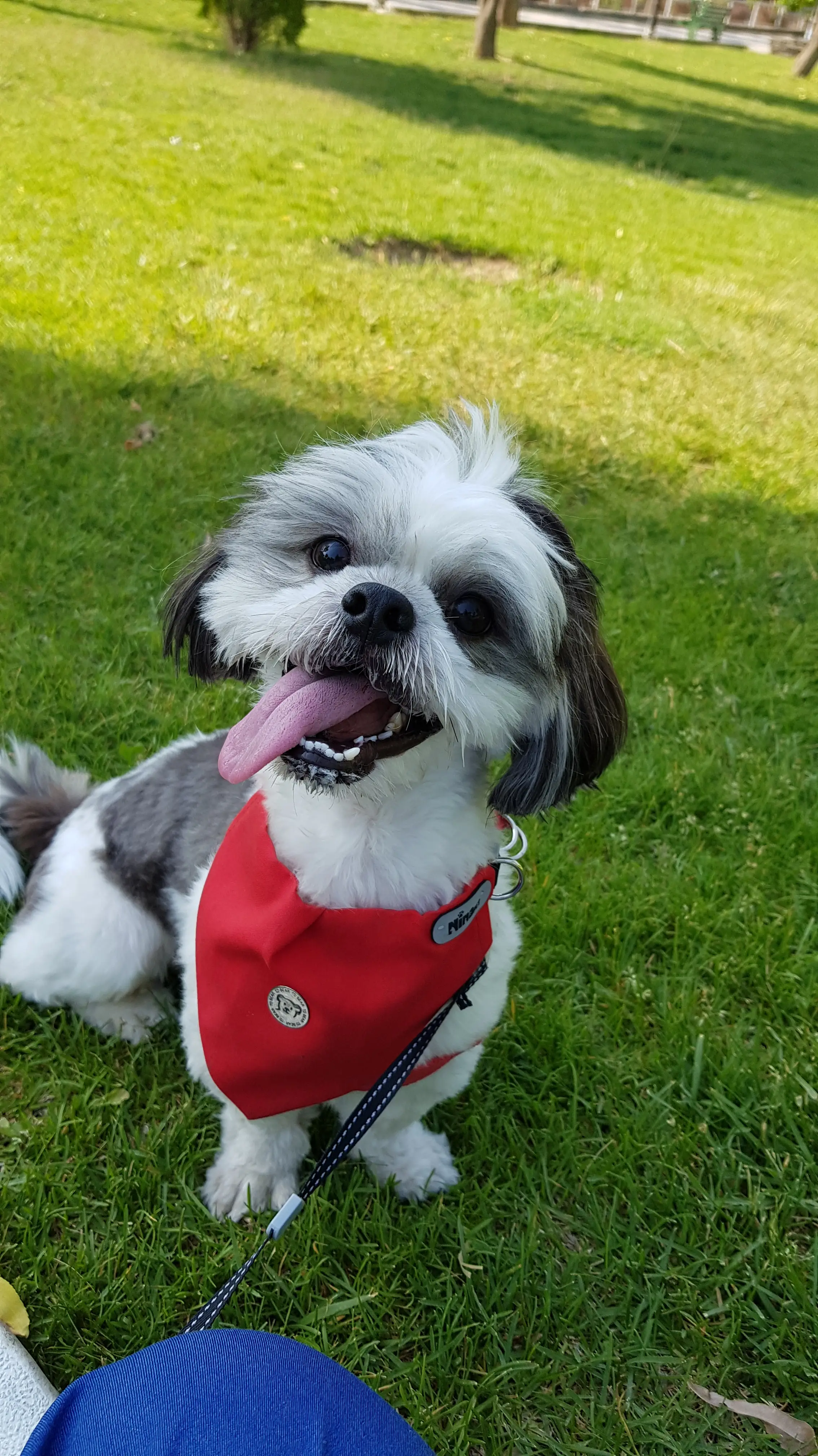 پنی