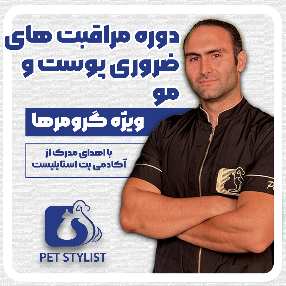 دوره مراقبت های ضروری پوست و مو