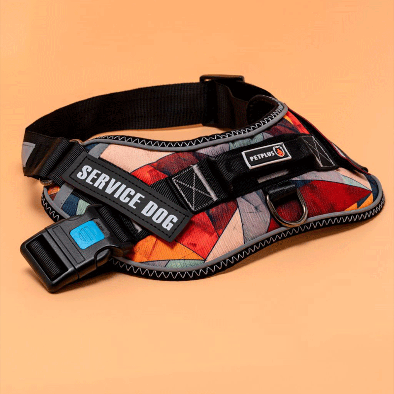 هارنس راینو برند پت پلاس