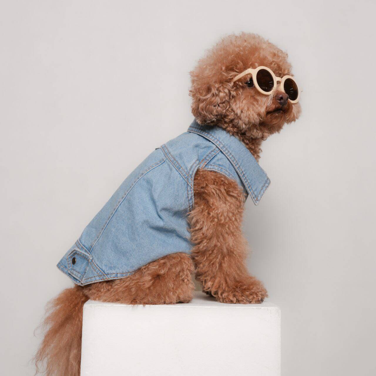 وست جین برند مای پت مد