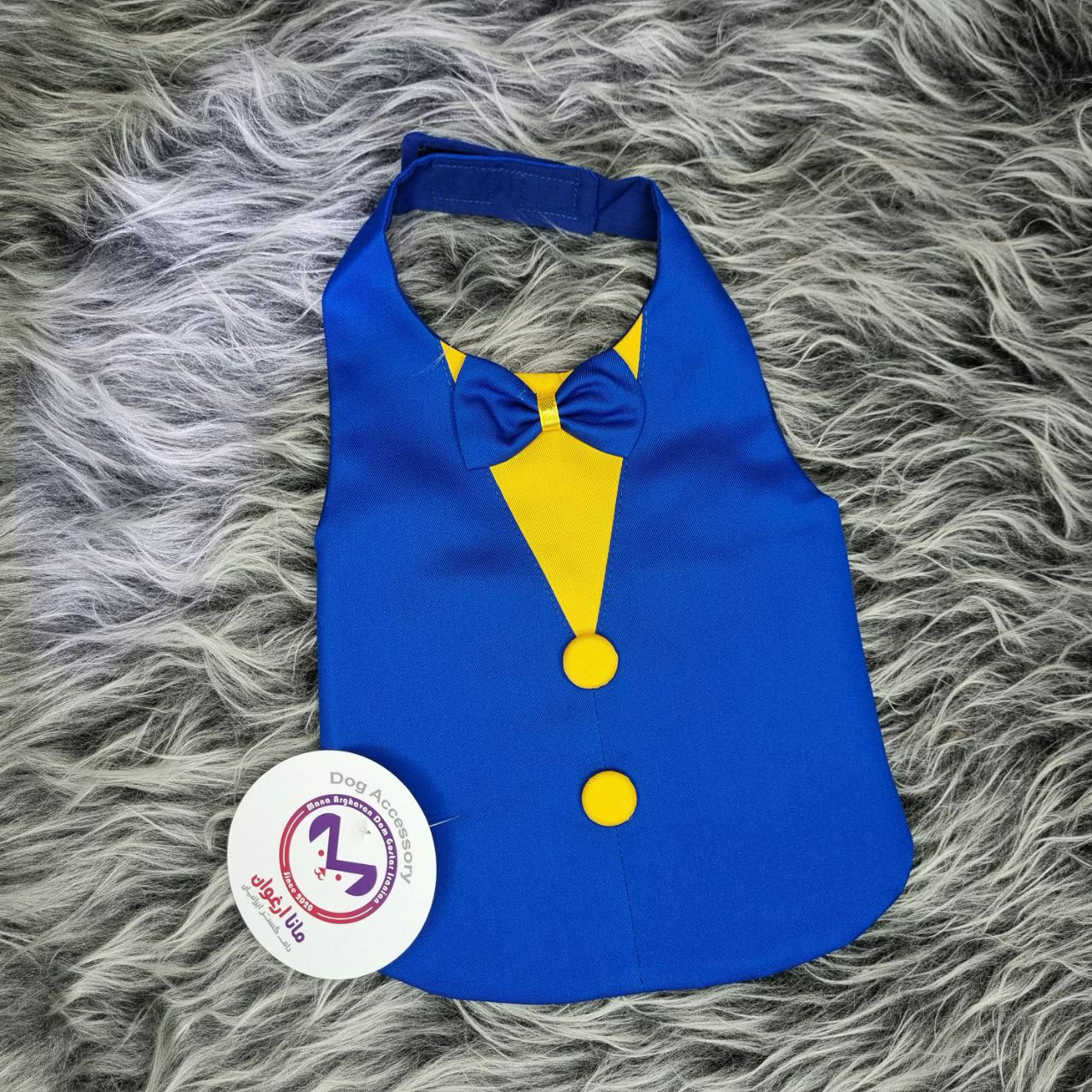 جلیغه  کالج مانا