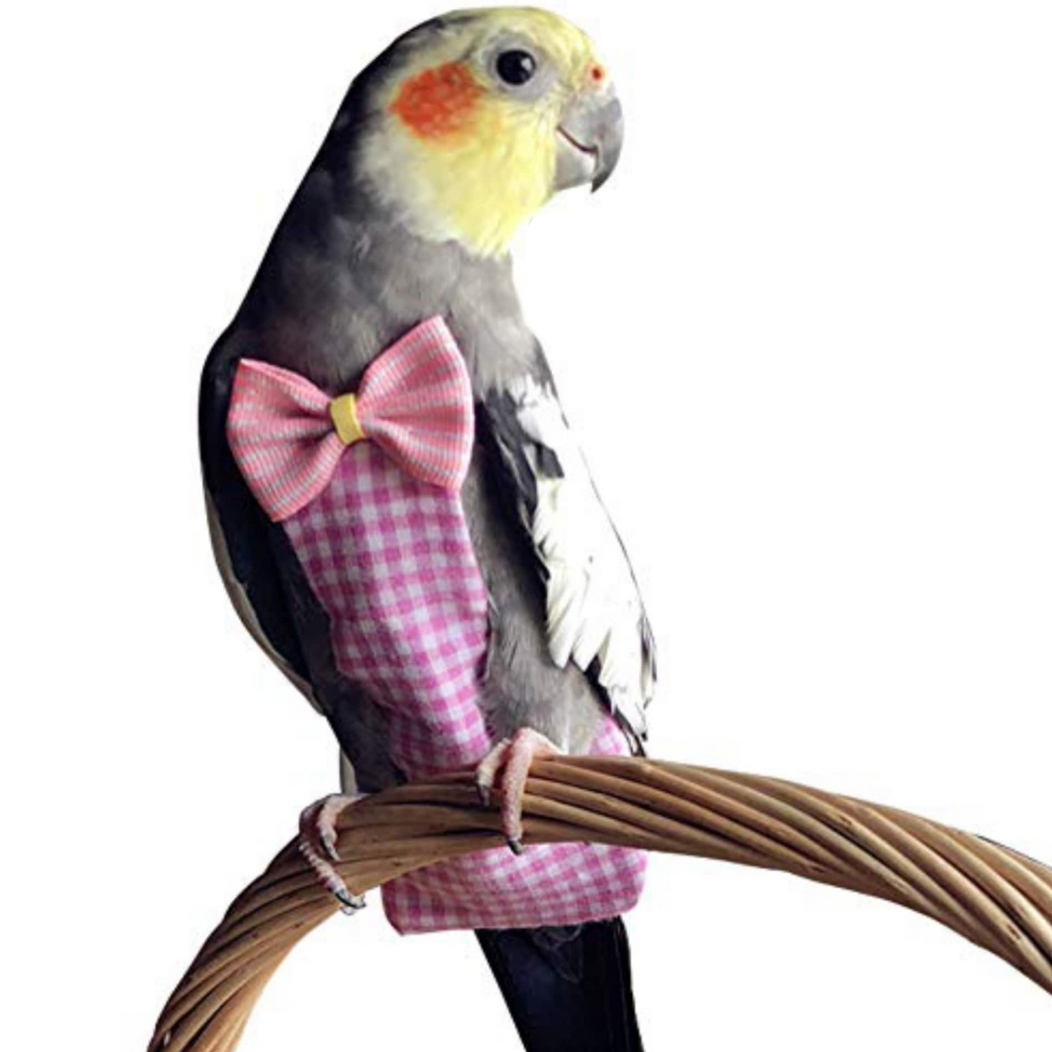 پوشک عروس هلندی