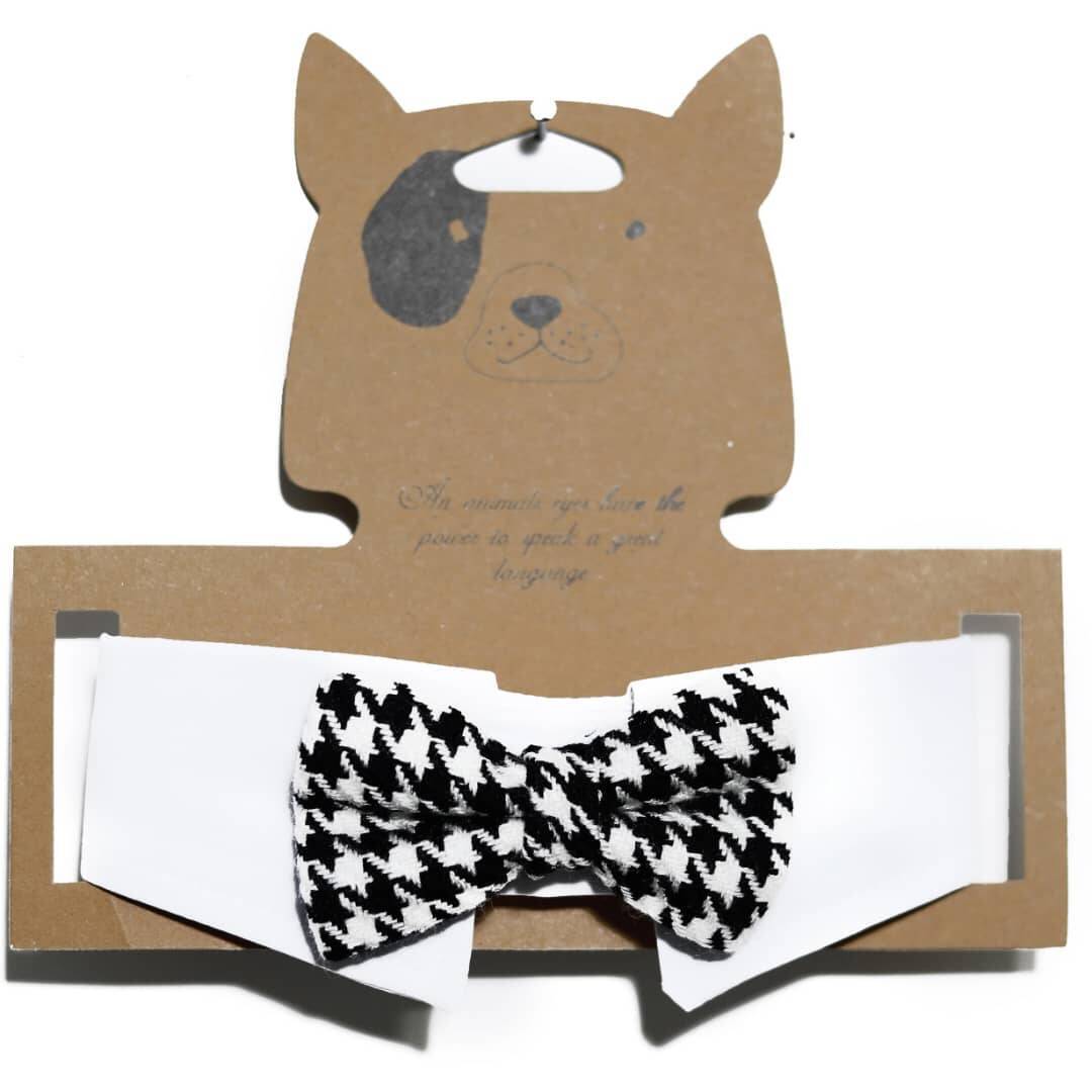 یقه پاپیون سگ