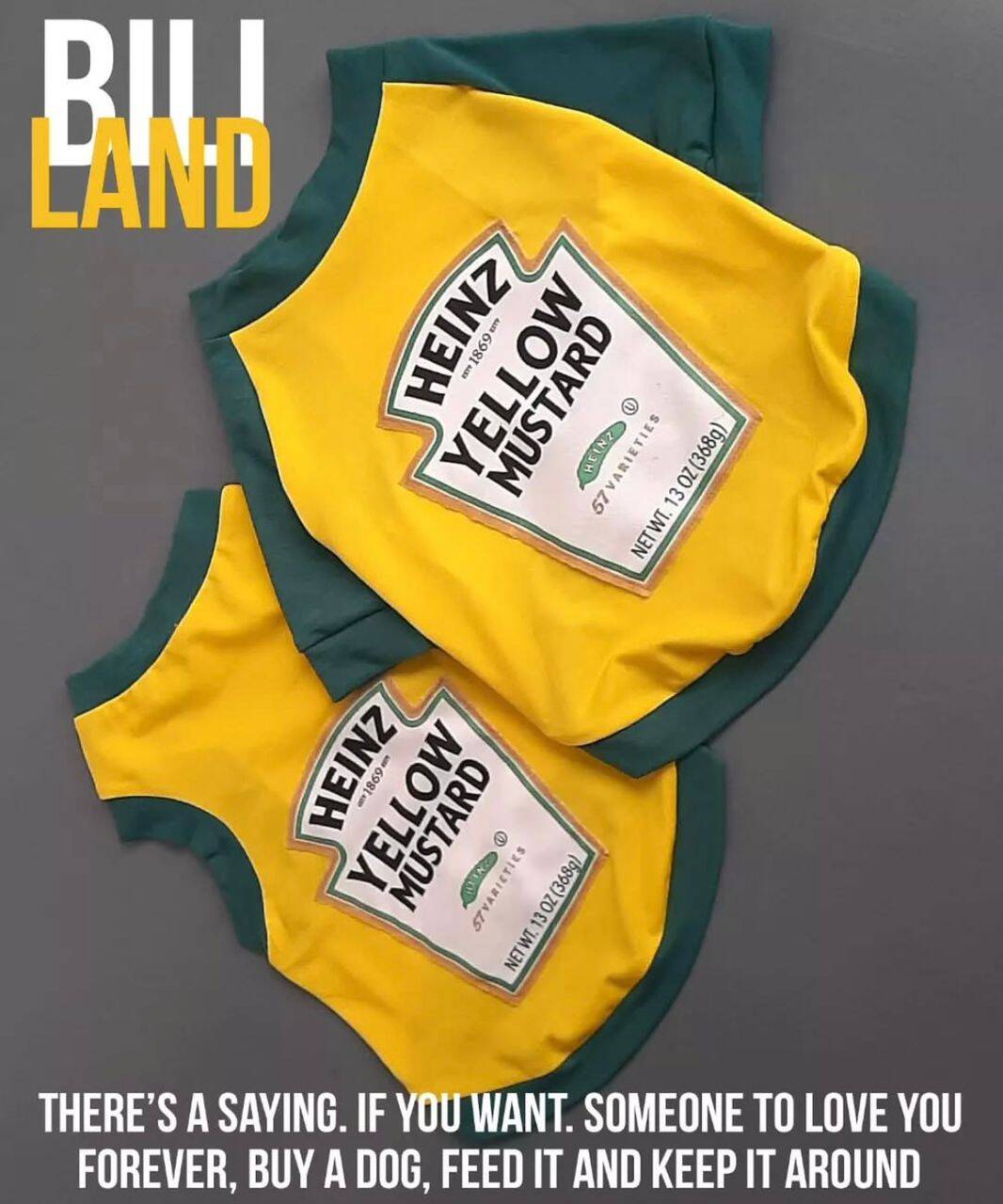 تاپ حلقه ای هینز خردل