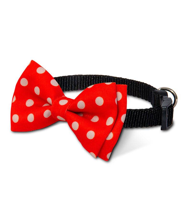 قلاده و پاپیون