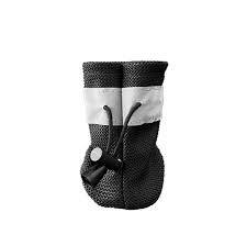 پاپوش سگ سویل