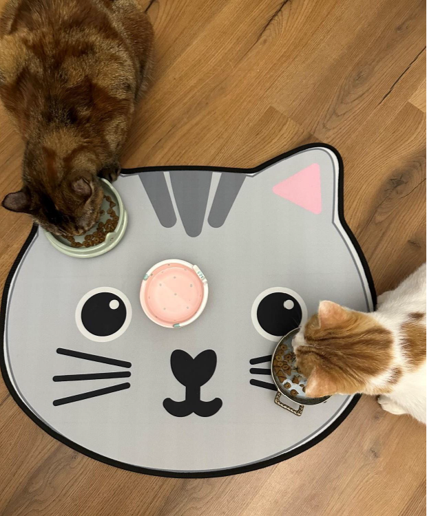 مت  آب و غذای فانتزی