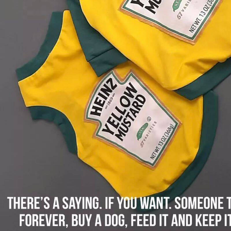 تی شرت  حلقه ای طرح هینز خردل برند بیلی لند