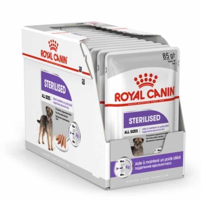 پوچ رویال_سگ