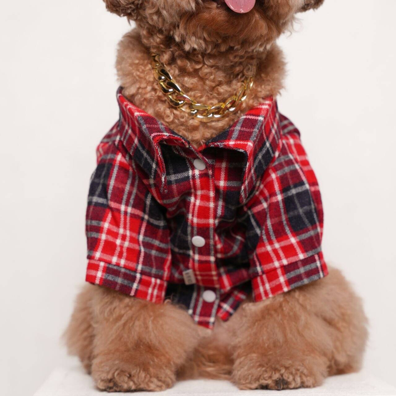 پیراهن کشمیر MP