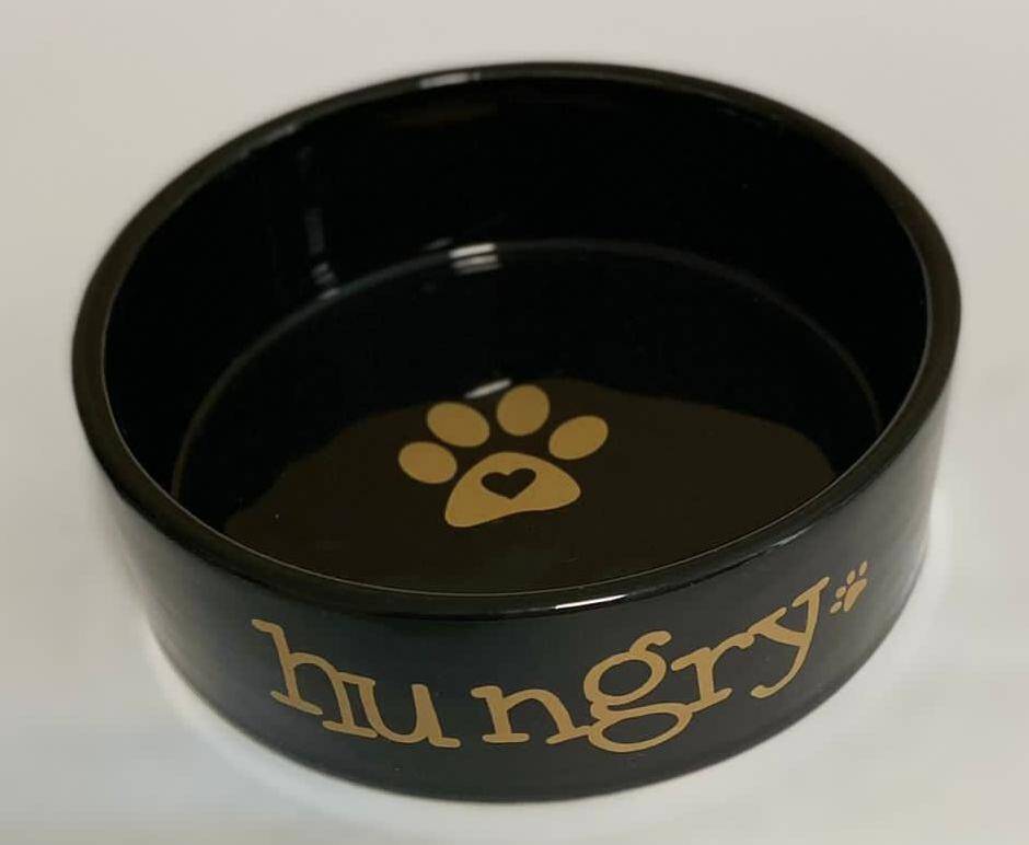 ظرف غذای سرامیکی   Cocopet