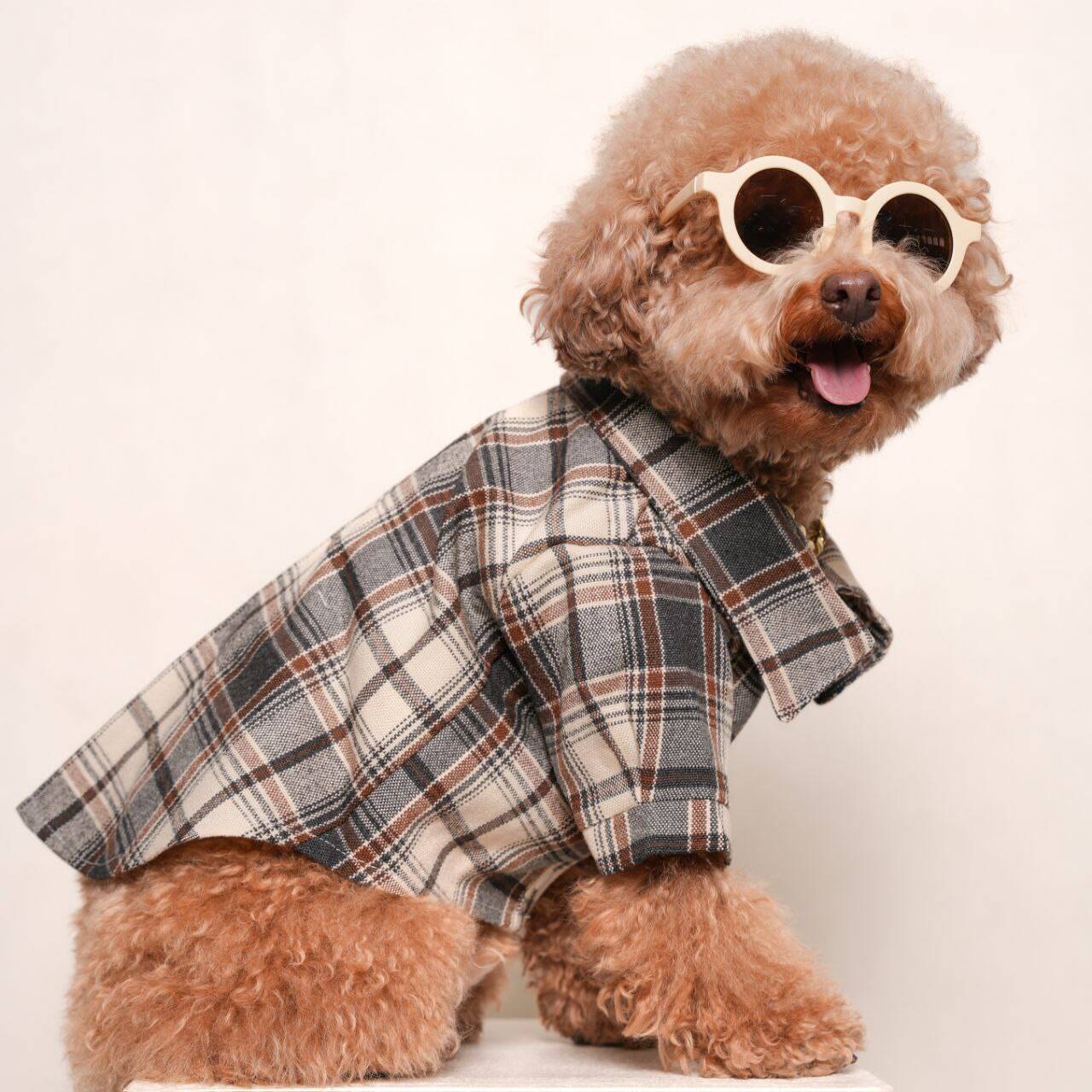 پیراهن کشمیر MP